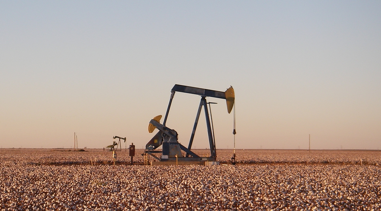 Pumpjack in cotton field